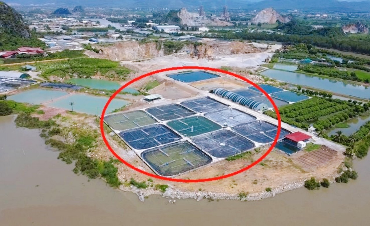 Quảng Ninh: Công ty Phương Nam tự ý chuyển đổi mục đích sử dụng hàng nghìn mét đất?