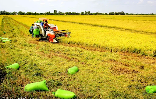 Tin nhanh bất động sản ngày 22/10: Bộ Xây dựng kiến nghị thêm gói tín dụng 30 nghìn tỷ đồng phát triển nhà ở xã hội