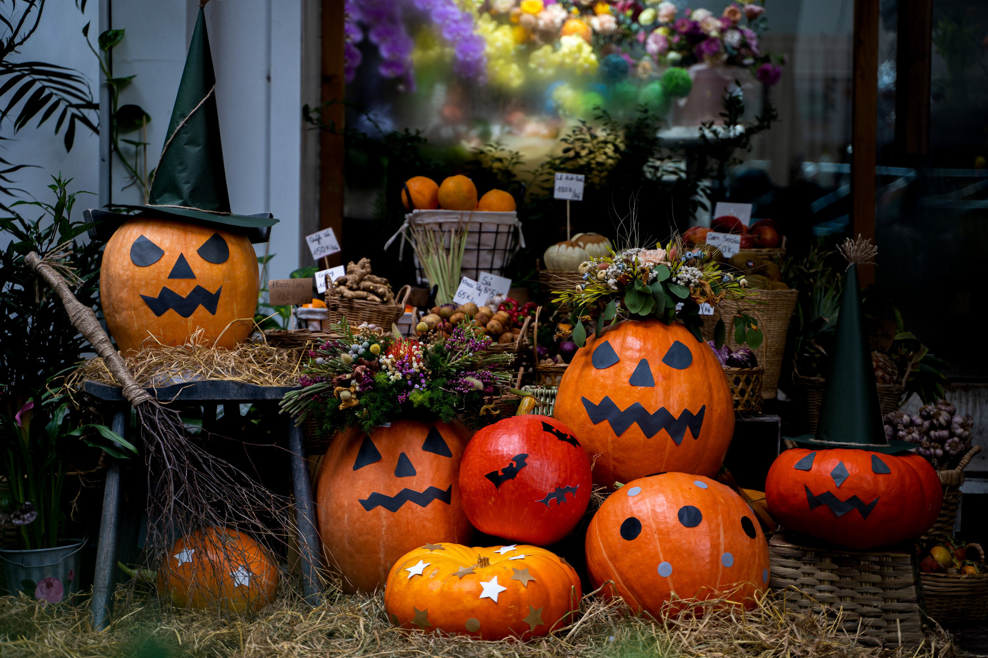 Gần lễ Halloween, bí ngô khổng lồ giá chục triệu hút khách