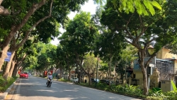 Dự báo thời tiết đêm nay và ngày mai 7/10: Hà Nội và các khu vực trên cả nước