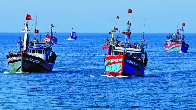 Cho ý kiến về quy định cho thuê khu vực biển để nuôi trồng thủy sản
