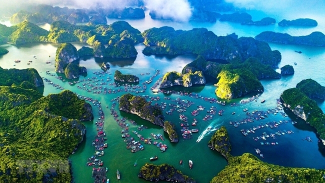 Tăng cường hiệu quả công tác quản lý khu bảo tồn biển Việt Nam
