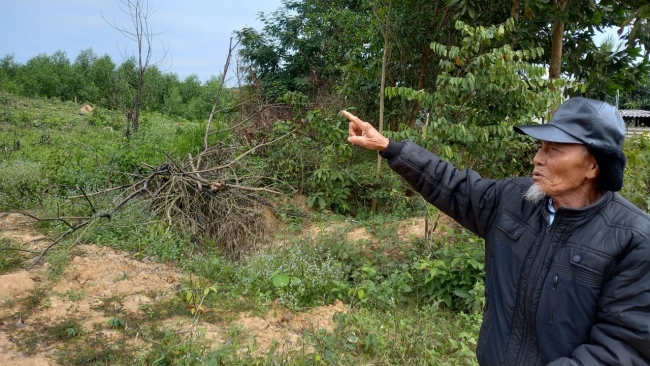Nghệ An: Đi tìm sự thật mang tên “Giấy chứng nhận quyền sử dụng đất” của Lâm trường Đồng Hợp