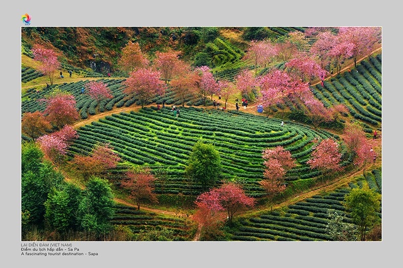 Chiêm ngưỡng ảnh nghệ thuật chụp tại Lào Cai được chọn triển lãm ảnh quốc tế năm 2021