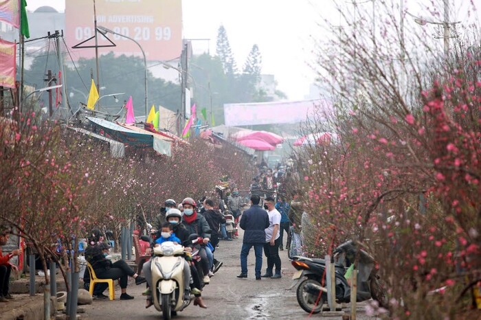 Hà Nội: Chợ Tết nô nức sắc xuân, đào lê ngập tràn, nhiều gia đình du xuân từ sớm