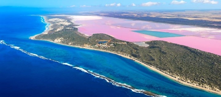 Kỳ lạ hồ nước màu hồng ảo diệu như mơ ở miền Tây Australia