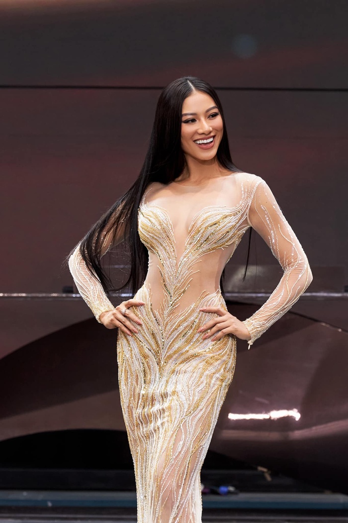 Váy dạ hội của người đẹp Việt đi thi quốc tế: Fan mệt vì ôm đồm quá nhiều thông điệp
