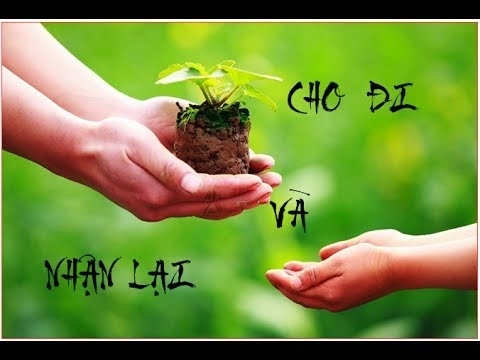 Việc làm, vị trí và nhân cách sống Việc làm, vị trí và nhân cách sống