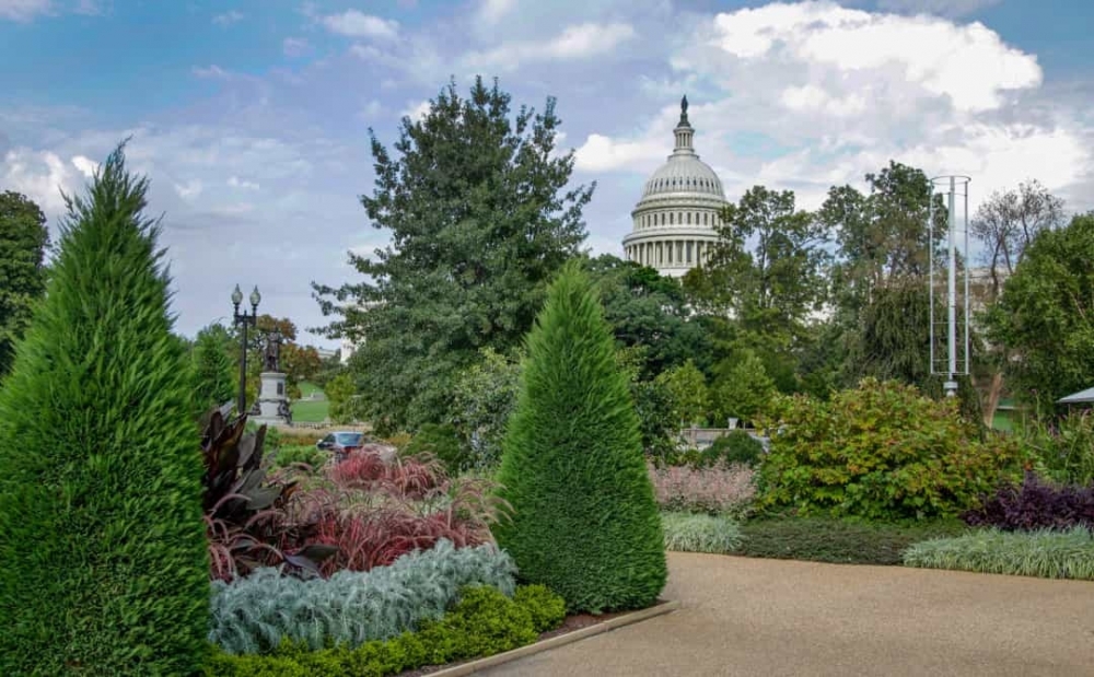 Ngắm nhìn những khu vườn bách thảo đẹp nhất nước Mỹ