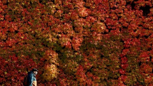 Vòng quanh thế giới để cảm nhận sắc màu mùa thu đẹp đến mê hồn