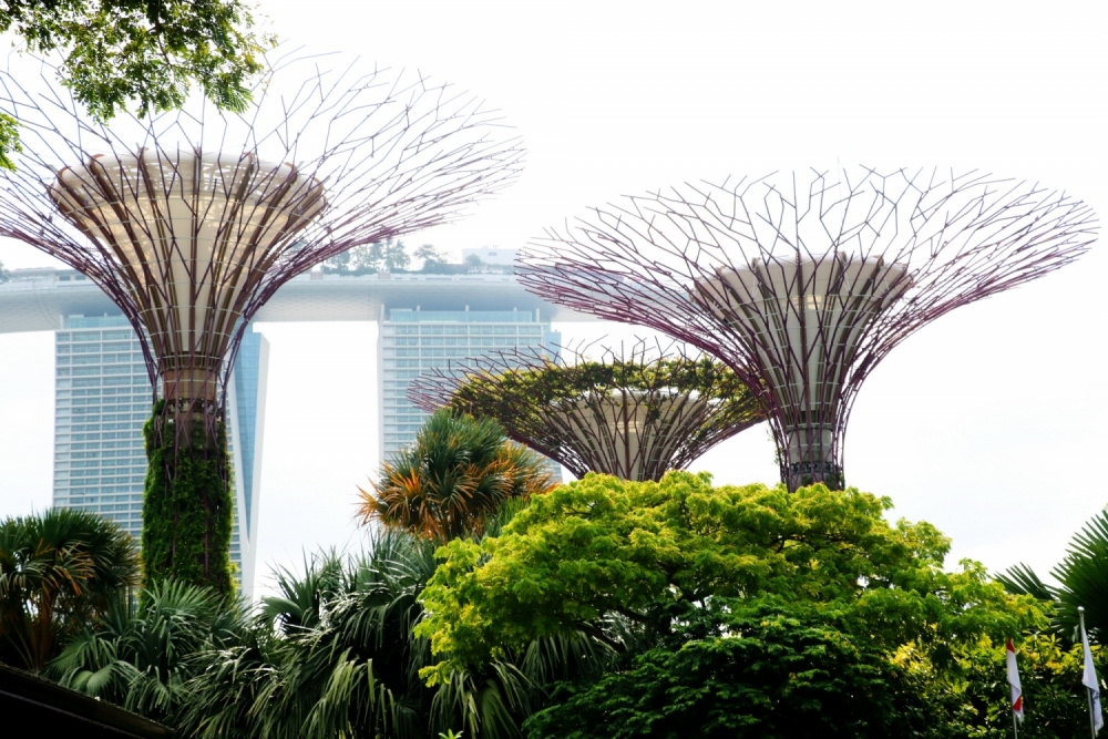 Singapore một màu xanh thẳm