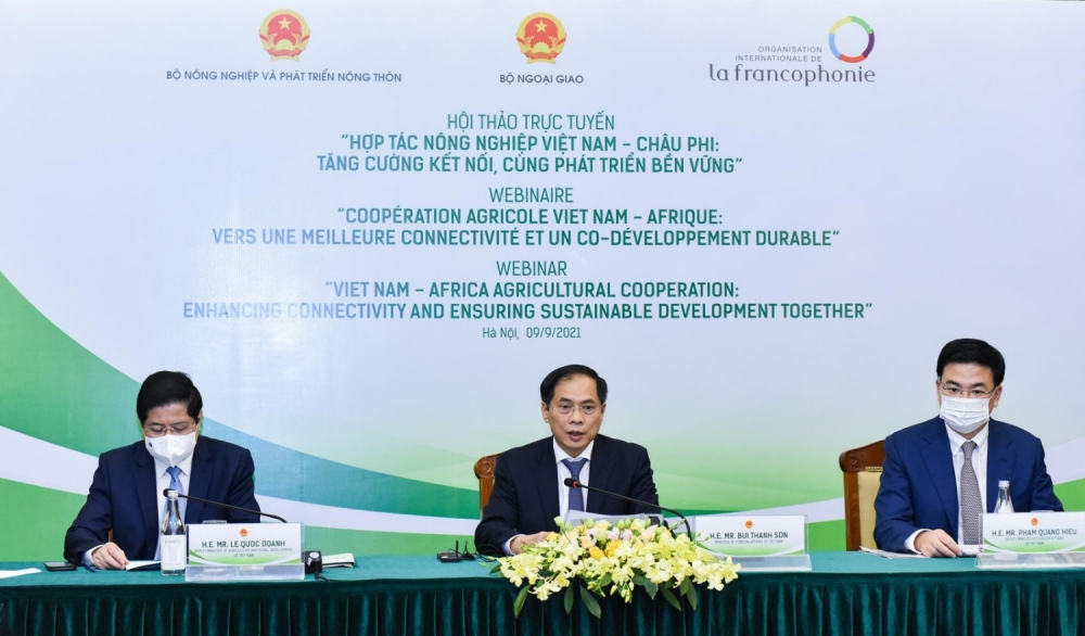 Nâng cao hiệu quả hợp tác nông nghiệp Việt Nam - châu Phi trong tình hình mới