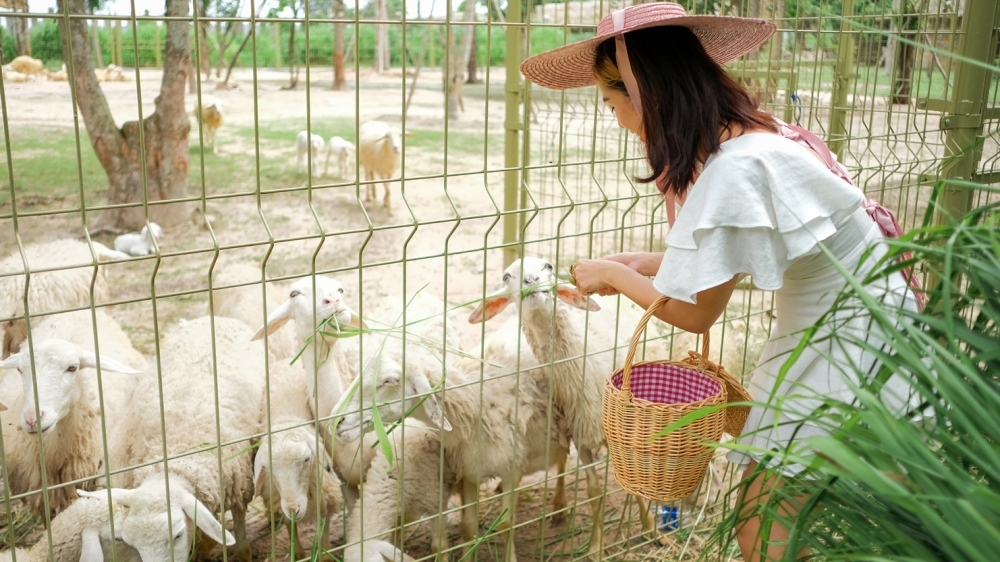 Bà Rịa Vũng Tàu: Du lịch đơn lẻ là xu hướng