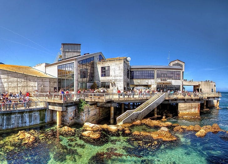 Khám phá 7 thủy cung kỳ thú nhất nước Mỹ