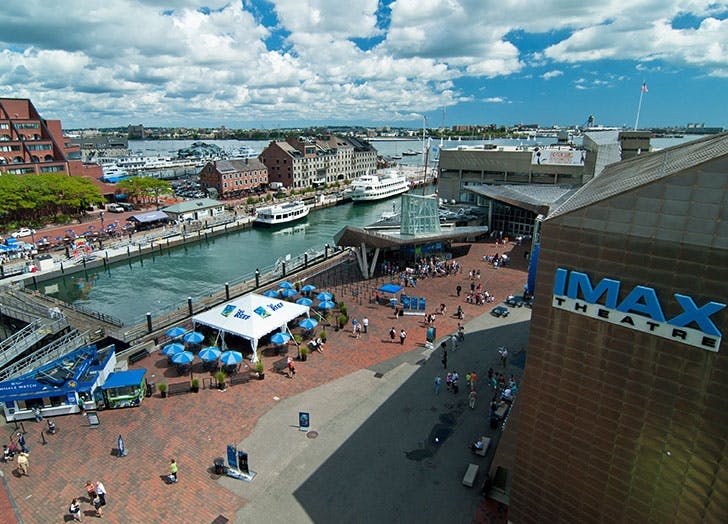 Khám phá 7 thủy cung kỳ thú nhất nước Mỹ