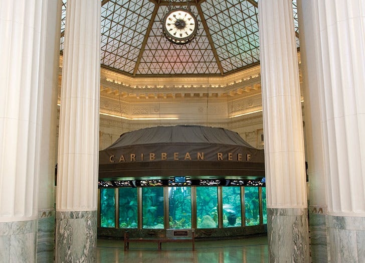 Khám phá 7 thủy cung kỳ thú nhất nước Mỹ