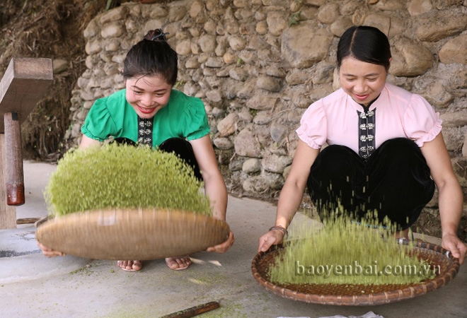 Yên Bái: Cốm Tú Lệ - xứng danh “tinh hoa ẩm thực”