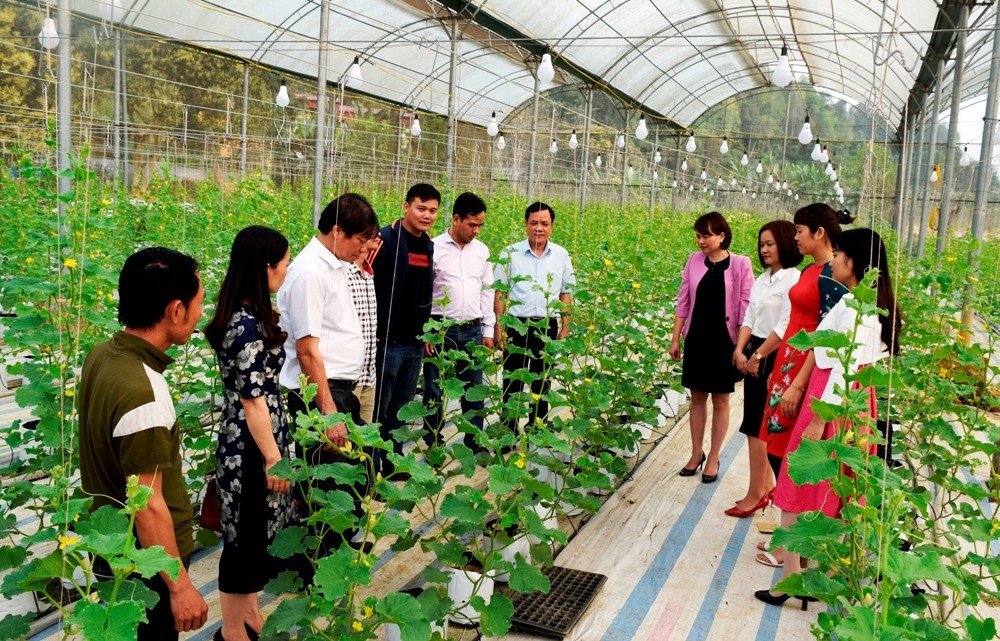 Lào Cai: Hiệu quả Quỹ Hỗ trợ nông dân