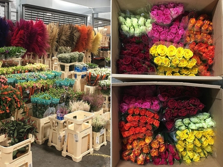 Ghé thăm chợ hoa ở London