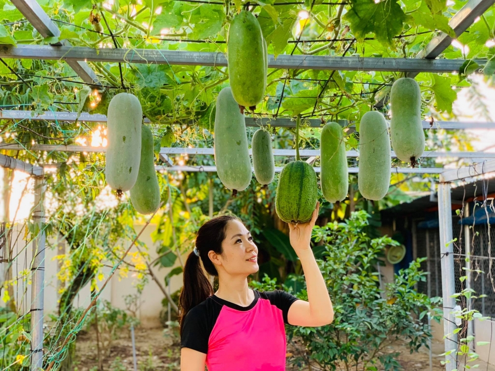Mẹ biến 300 m2 vườn thành khu du lịch, 'mở tour 0 đồng' cho 4 con mùa dịch Mẹ biến 300 m2 vườn thành khu du lịch, 'mở tour 0 đồng' cho 4 con mùa dịch