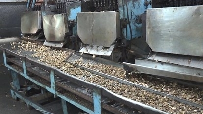 Công ty TNHH Quang Sơn xả thải trái phép gây ô nhiễm môi trường
