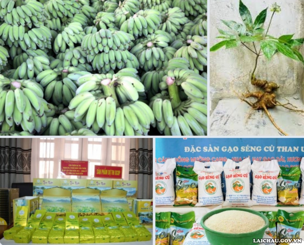 Lai Châu: Thực hiện một số biện pháp thúc đẩy xuất khẩu nông sản của tỉnh
