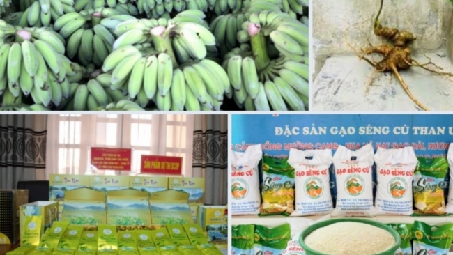 Lai Châu: Thực hiện một số biện pháp thúc đẩy xuất khẩu nông sản của tỉnh