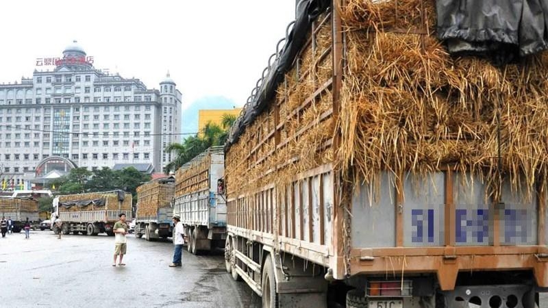 Xuất khẩu thực phẩm vào Trung Quốc trước giờ G: Doanh nghiệp Việt đã sẵn sàng?